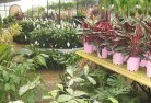 Bullsbrookplant-nursery-7.jpg; ?>